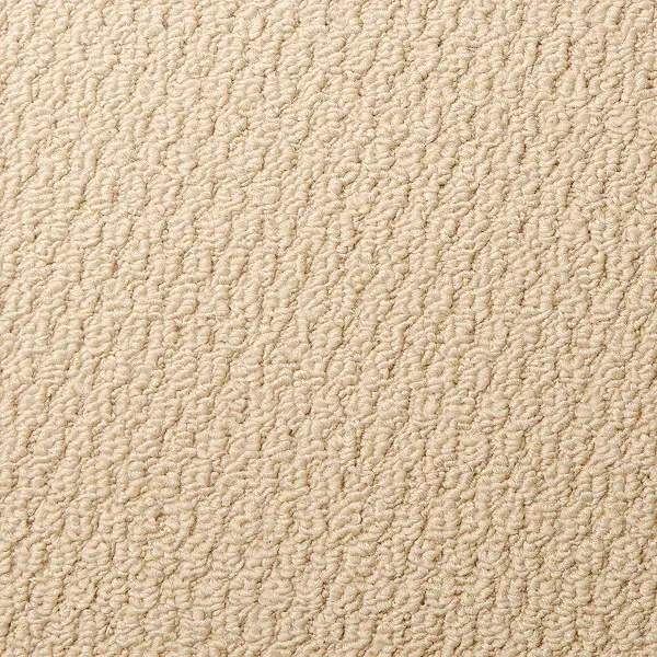 Beaulieu Solution Dyed Polypropylene Carpet